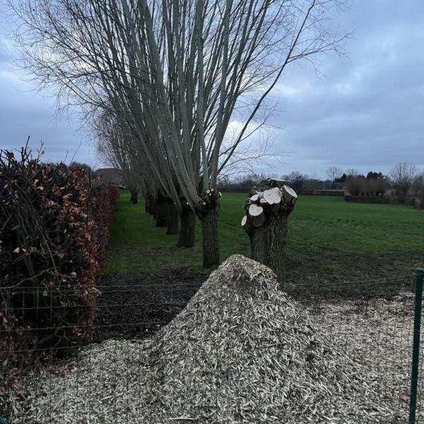 tuin-aanleggen-werken-tuindesign-stijn-cousaert-avelgem