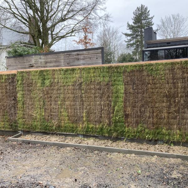 tuin-aanleggen-werken-tuindesign-stijn-cousaert-avelgem