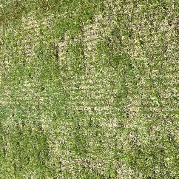 tuin-aanleggen-werken-tuindesign-stijn-cousaert-avelgem