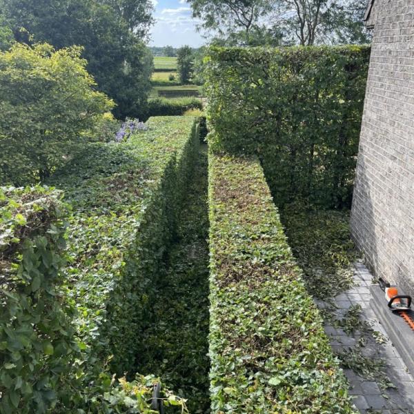 tuin-aanleggen-werken-tuindesign-stijn-cousaert-avelgem