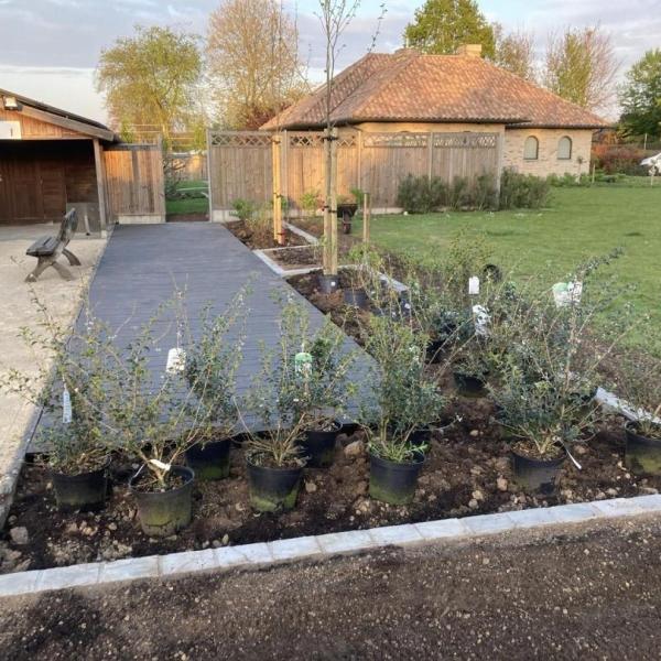 tuin-aanleggen-werken-tuindesign-stijn-cousaert-avelgem