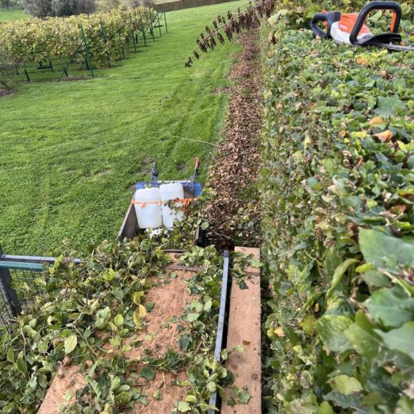 tuin-aanleggen-werken-tuindesign-stijn-cousaert-avelgem