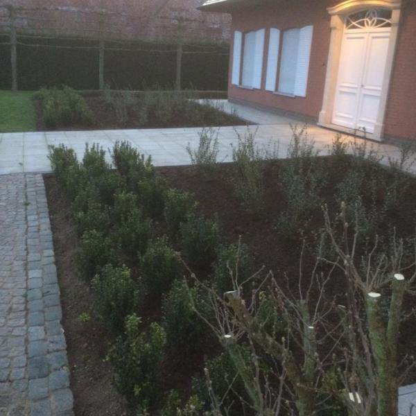 tuin-aanleggen-werken-tuindesign-stijn-cousaert-avelgem