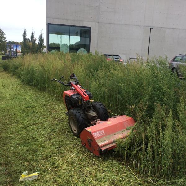 tuin-aanleggen-werken-tuindesign-stijn-cousaert-avelgem