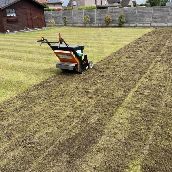 gazonrenovatie-tuinaannemer-tuindesign-stijn-cousaert-avelgem