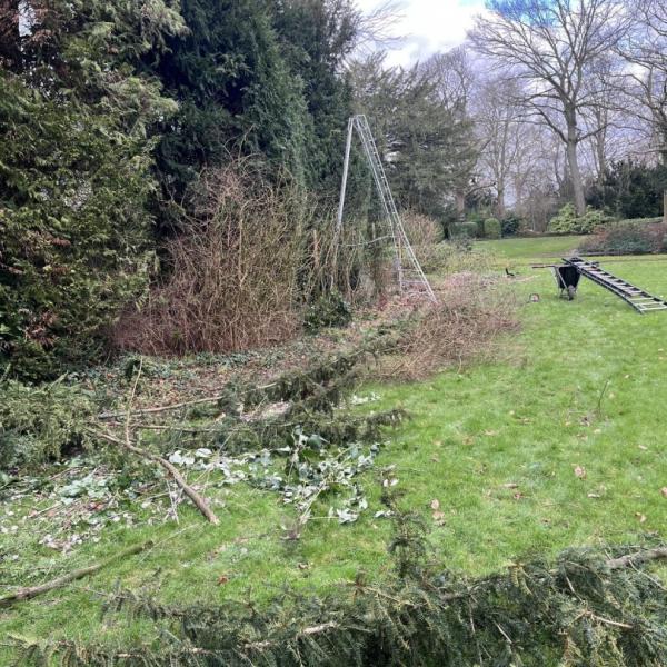 tuinonderhoud-tuinman-tuinier-avelgem