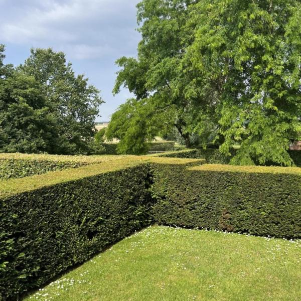 tuinonderhoud-tuinman-tuinier-avelgem